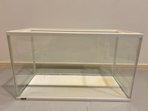 水槽GEX