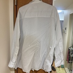 レディースシャツ の画像