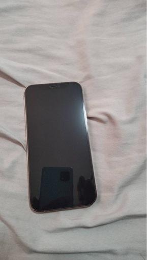 【最終値下げ！】iPhone12 Pro  128G