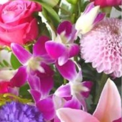 1月11日　新春に新しいお友達を作る会