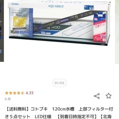 水槽、水槽用品、金魚生体の画像