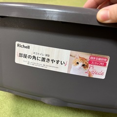 猫、トイレブラウンの画像