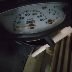 ライブDIO実車の画像