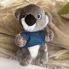 コアラマットレスのコアラ