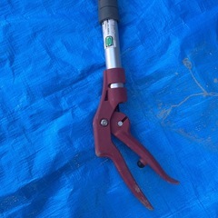 代表が🐎年男だよ新年明けましたＹＯおめでたビックリSALE 軽量三段伸縮高枝切鋏の画像