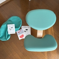 美品・正規品✨balance easy 本体と取り替えカバー