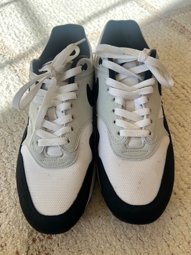 その他 Air Max 1