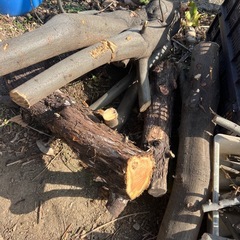 無料▶︎生木　　薪の画像