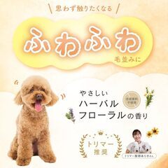 【国産 × オーガニック】ロアペット ペット用 オーガニックシャンプー 低刺激の画像