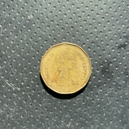 カナダの1ドル硬貨(希少
)