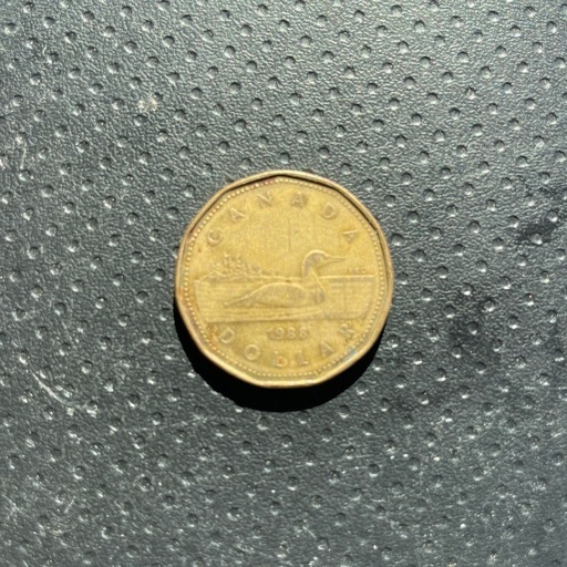 カナダの1ドル硬貨(希少
)