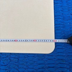 取引確定珪藻土　バスマットの画像