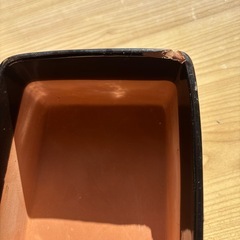 爬虫類シェルターの画像