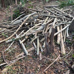 広葉樹等⭐︎薪大量追加！！の画像