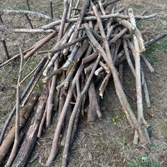 広葉樹等⭐︎薪大量追加！！の画像