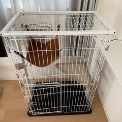 猫用ケージ/サークル(ペッツファースト)の画像