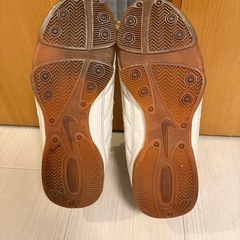 NIKE   フットサルスニーカー　レディースの画像