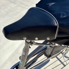 ふらっかーずシュシュ （子供乗せ自転車）  FRCH203Zの画像