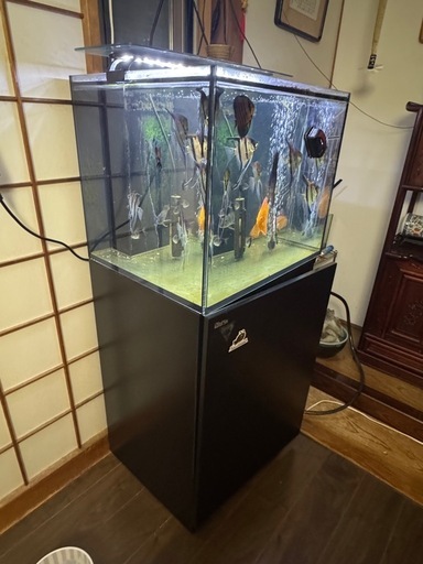 水槽