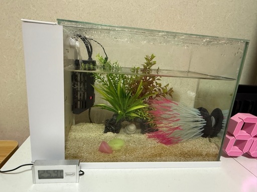 海水魚飼育セット
