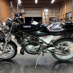 ヤマハ SDR 低走行車の画像