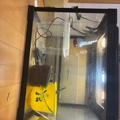 爬虫類飼育セット
の画像