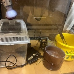 爬虫類飼育セット
の画像