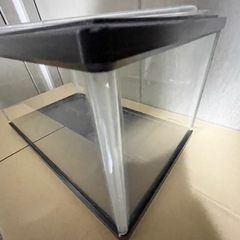 お取引き完了🐠中古🐡小型水槽🐟の画像