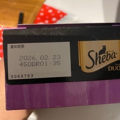 引き渡し予定者決定　
猫のごはん、おやつの画像