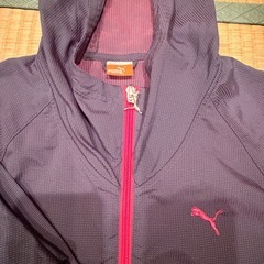 PUMA ドライ素材ウエア上下セットSサイズの画像