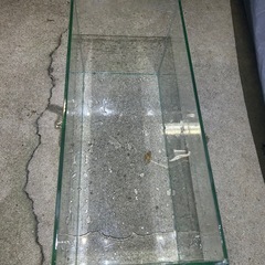 GEXジェックスグラステリア スリム450の画像