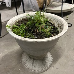 植木鉢3点セットの画像