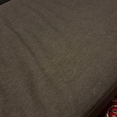 IKEA ソファ　ヘムリングビーの画像