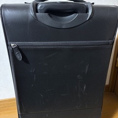 大型キャリーバッグの画像