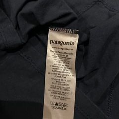 Patagonia美品Tシャツの画像