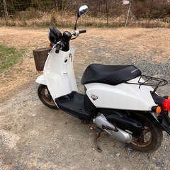 af61 ホンダ トゥデイ 実働書付の画像