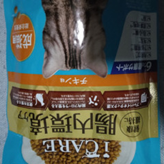 【新品未開封】アイケア　ｉＣＡＲＥ　キャットドライ　４００ｇ　チキン味＆フィッシュ味の画像