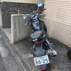 T2　250の画像