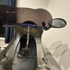 デュアルカウルの画像