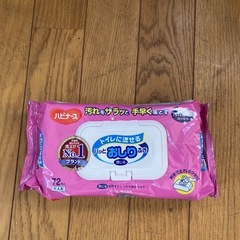 ① 介護用紙パット➕おしり拭きの画像