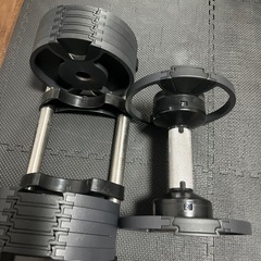 NUO FLEXBELL  20キロ可変式の画像