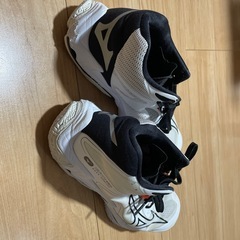 バレーシューズの画像