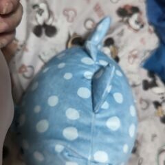 抱き枕ジンベイザメの画像