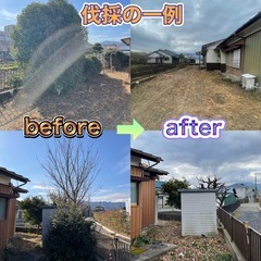 伊勢原市　草刈り・伐採・防草シート施工など承ります。