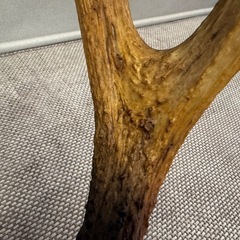 インテリア　オブジェの画像