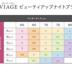 未開封品　VIAGE Air ヌードピンク　LLサイズの画像