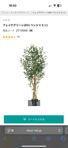 観葉植物フェイクグリーン（ニトリ）