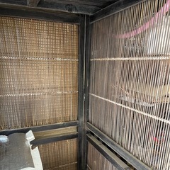 和モダン　アジアンテイスト　棚　ディスプレイ　飾り棚　店舗什器　壁面什器の画像