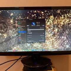 プリンストン　液晶モニター　24インチの画像
