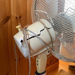 MF-316EV7 扇風機 jazzberryの画像